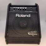 Roland PM-10 V-Drums Personal Monitor Drum Amp Speaker Tested Working